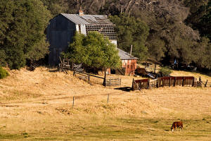 Barn