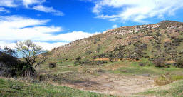 Sherilton Valley Pond - Dry - 2007